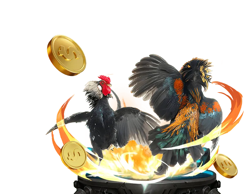 Quy trình nhận khuyến mãi tại Win55